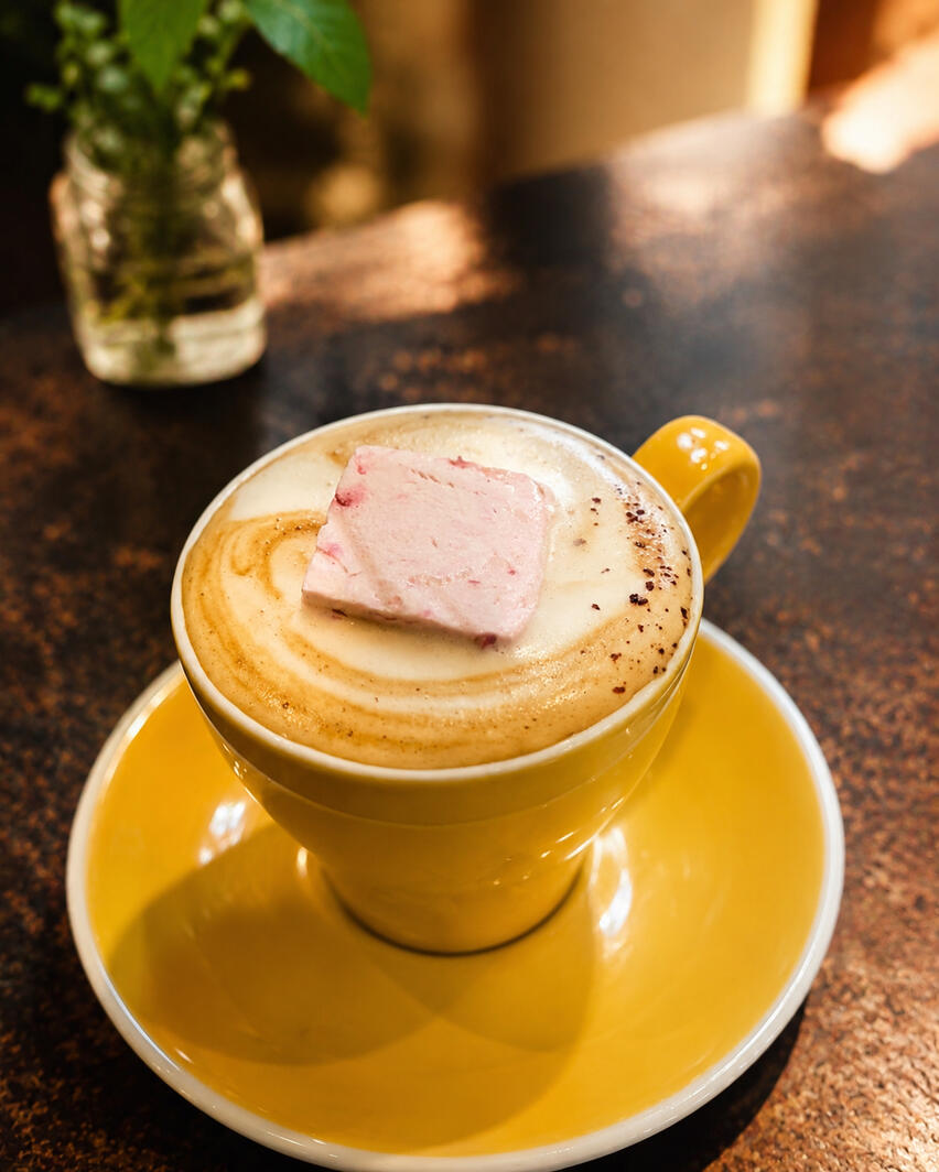 Latte, Dressed Up Latte, Dressed Up